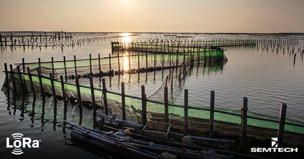 Monitoring Environmental Conditions and Oyster Health With LoRa®