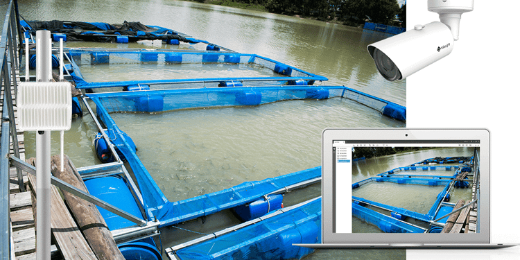 IoT connected aquaculture farm