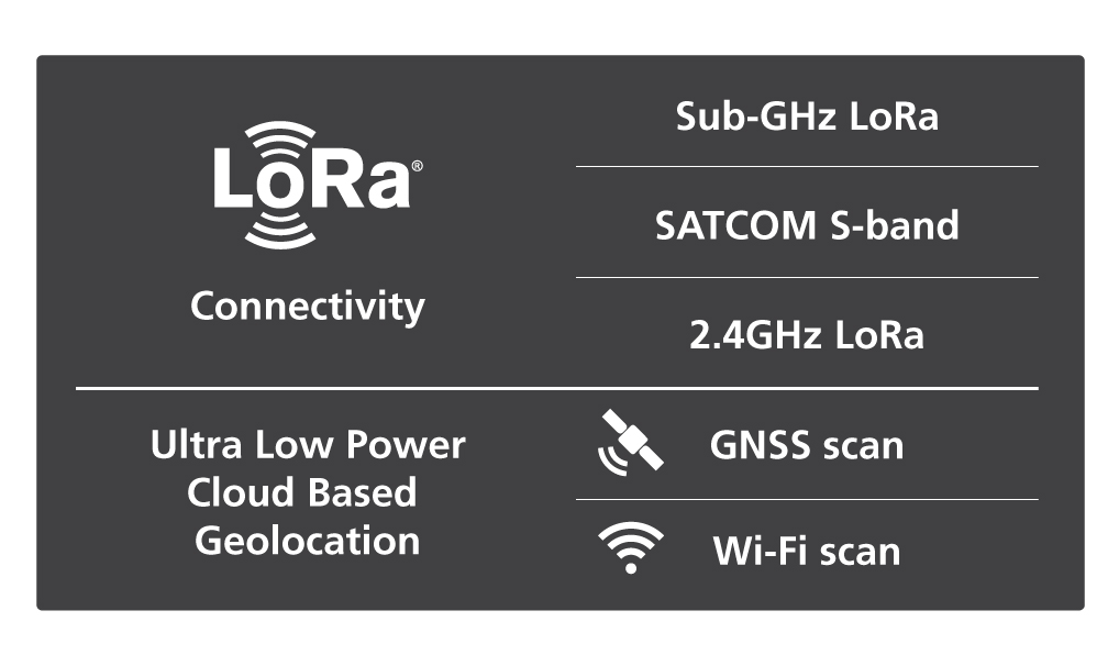 LoRa Connectivity Diagram 1