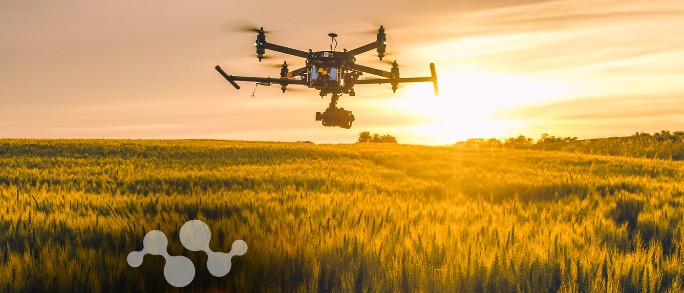 Agricultural drone flying over a wheat field at sunset, showcasing LoRa technology applications for smart farming and long-range drone communication