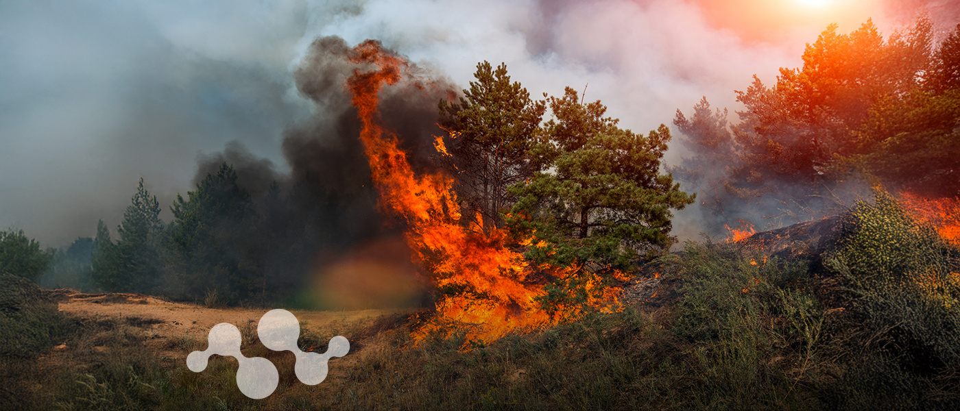 Wildfire burning through a forest, with flames consuming trees and smoke billowing into the sky, representing the critical need for advanced technologies like LoRaWAN® to aid in wildfire detection and climate change mitigation.