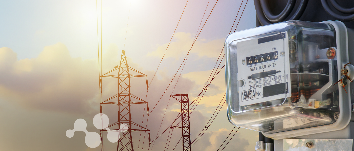 Smart utility meter for wM-Bus and LoRaWAN connectivity with electrical grid infrastructure and power lines