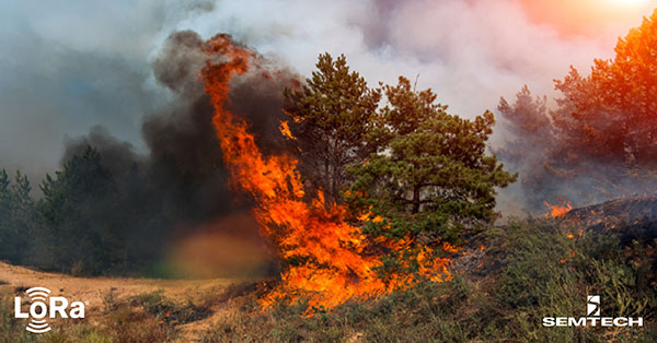 Fighting Wildfires and Combating Climate Change With LoRaWAN
