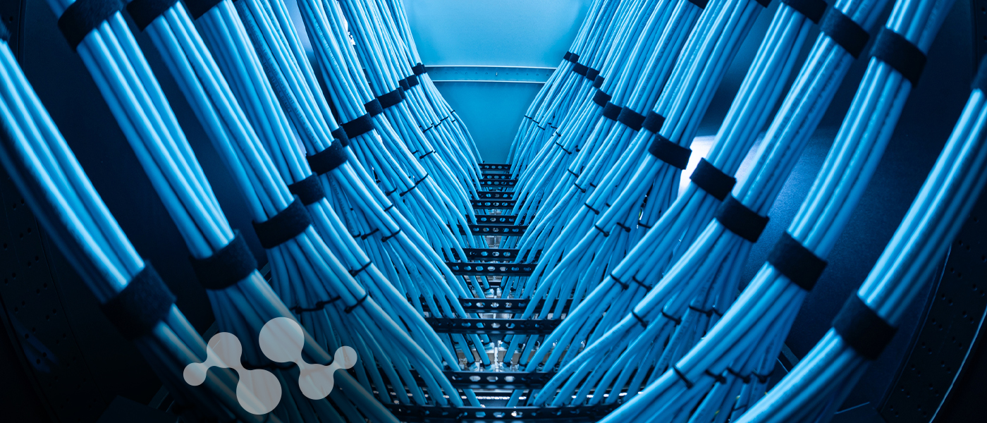 Dense rows of high-speed copper cables organized in a data center rack, viewed from below, illuminated in blue light.