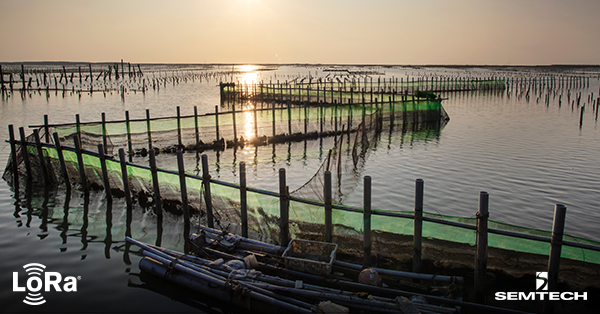 Environmental Conditions and Oyster Health Monitoring With LoRa